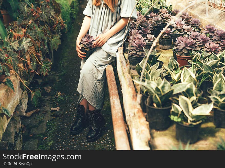 A girl in a dress in a greenhouse holds a pot with succulenas in her hands, a mood of calm and peace. Tropical concept, summer vacation. A girl in a dress in a greenhouse holds a pot with succulenas in her hands, a mood of calm and peace. Tropical concept, summer vacation