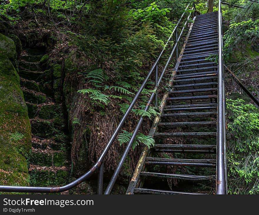 stairways in saxon switzerland, germany