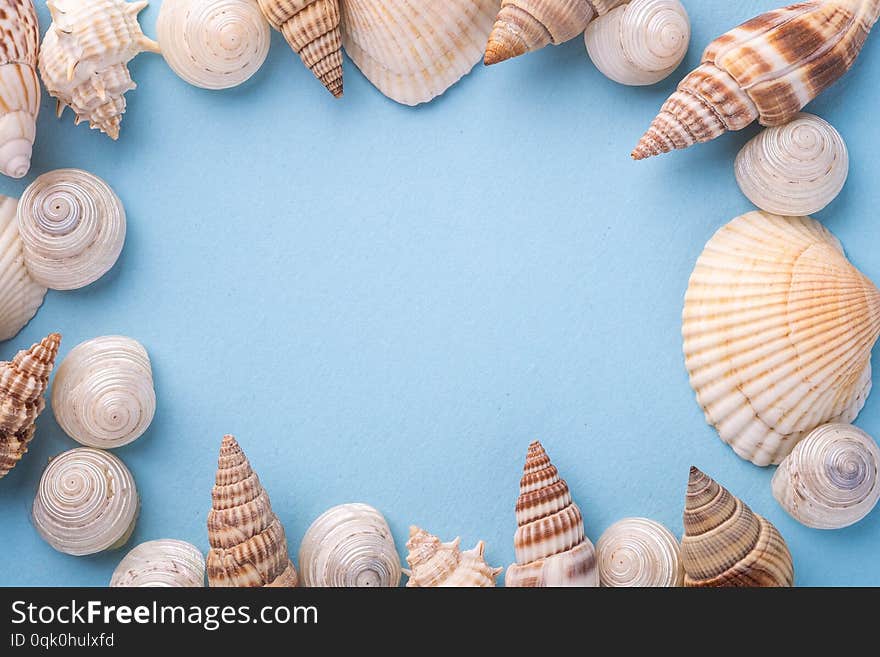 Summer texture copy space seashell top view blue background bright colors