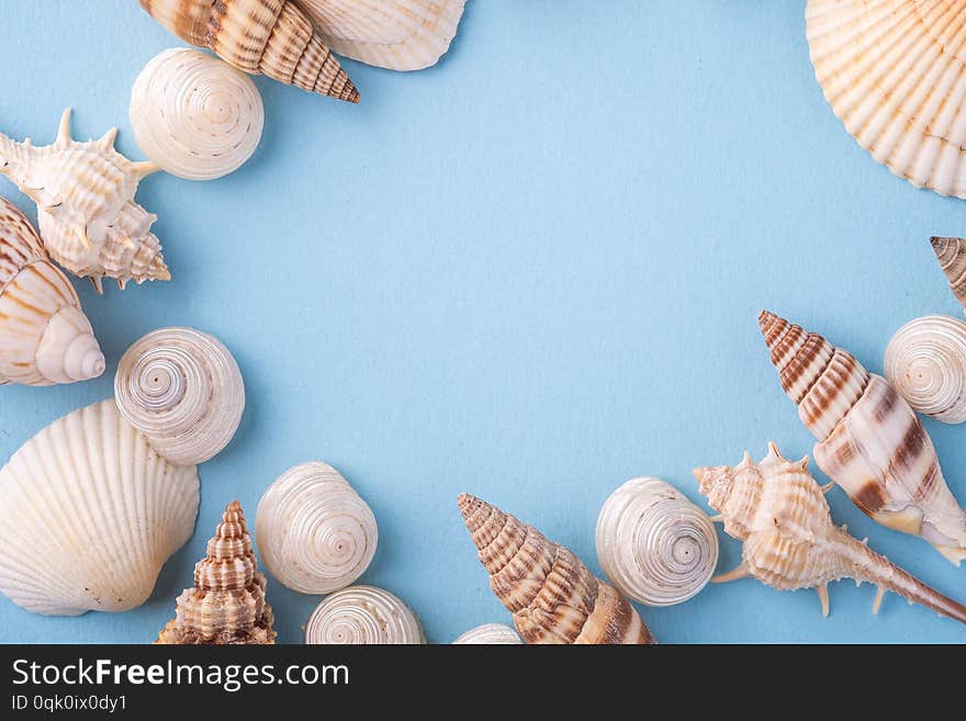 Summer texture copy space seashell top view blue background bright colors