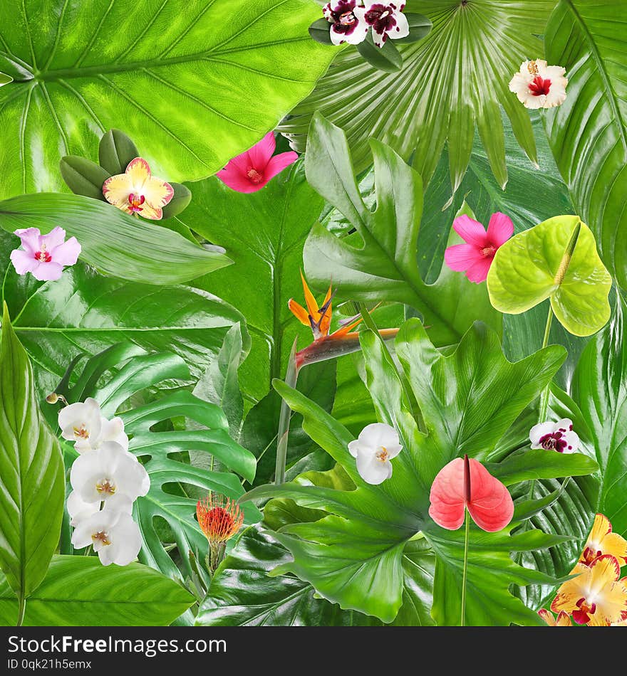 Beautiful tropical leaves and flowers as background