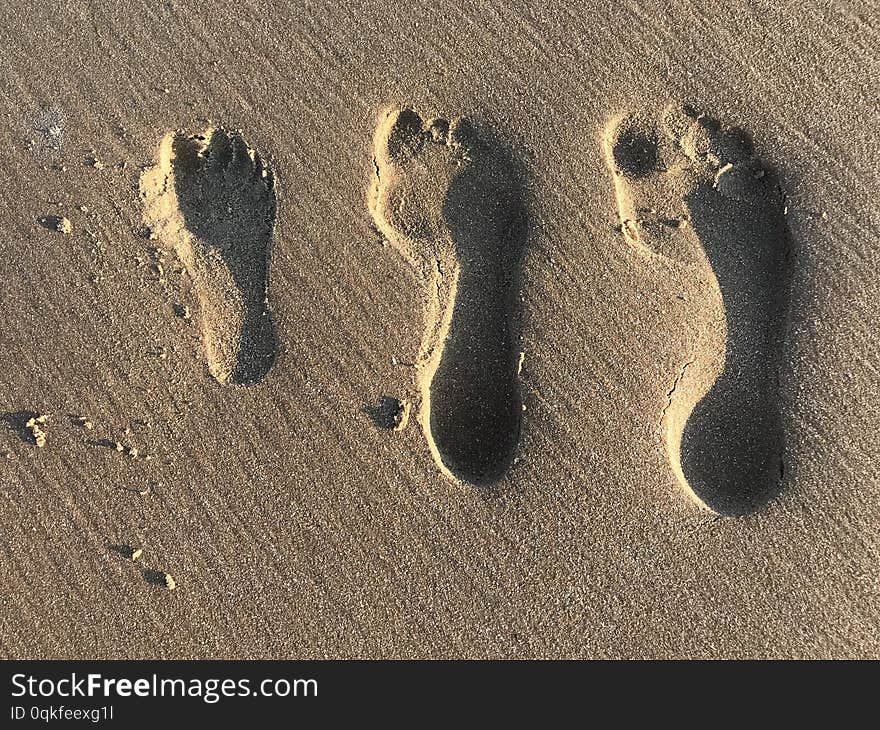 Familyâ€™s Foot Prints In The Sand