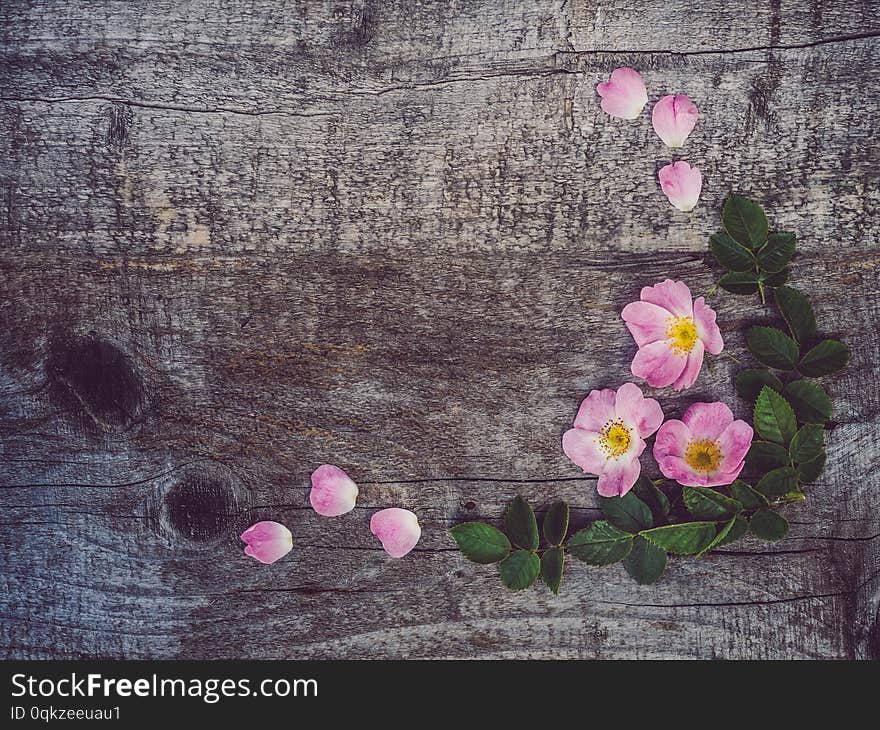 Beautiful, spring flowers lying on shabby boards