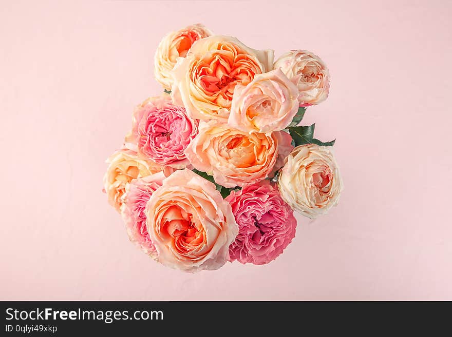 Bouquet Of Beautiful Roses On Color Background