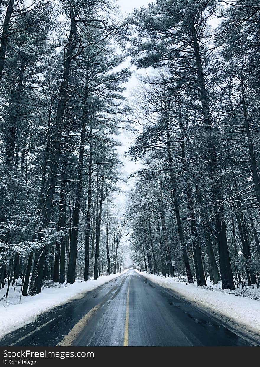 The empty road with trees on both sides covered snow in the winter of New England Litchfield Connecticut United States. The empty road with trees on both sides covered snow in the winter of New England Litchfield Connecticut United States.