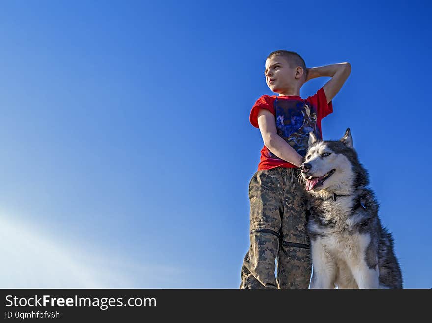 Boy with Siberian husky dog on blue sky background. Walk with husky dog.