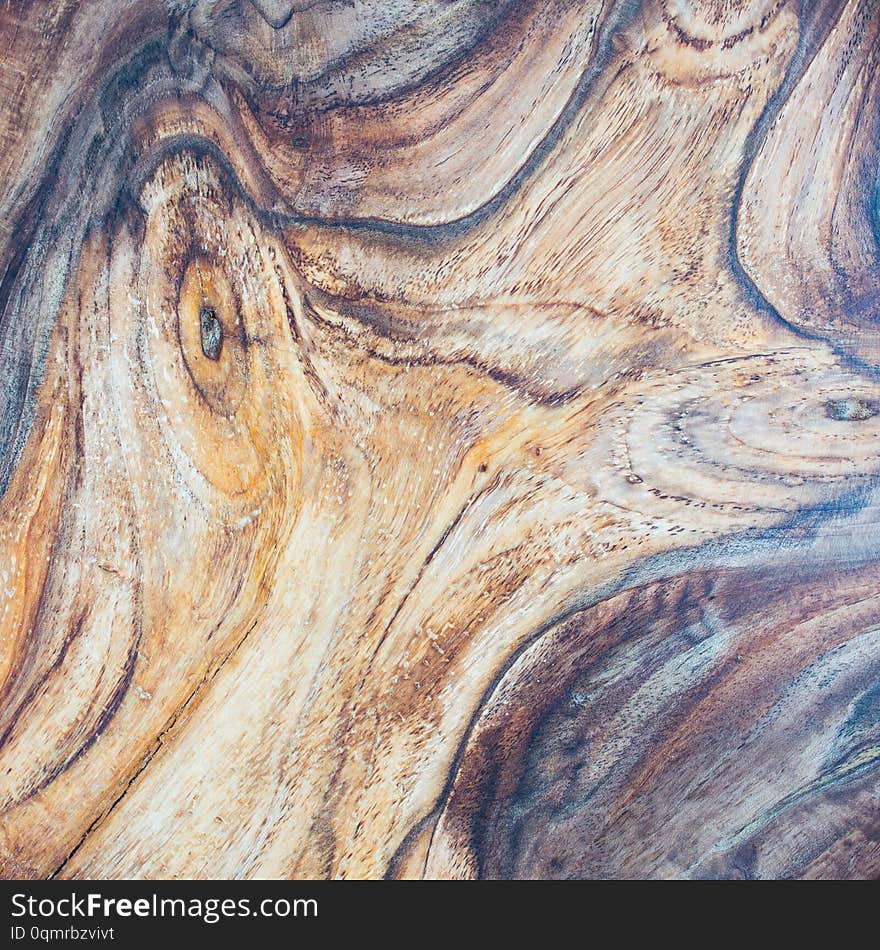 walnut wood texture background in macro lens shoot