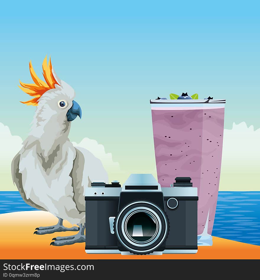 Summer beach and vacation with photographic camera, cockatoo and smoothie drink icon cartoon over the beach with seascape vector illustration graphic design. Summer beach and vacation with photographic camera, cockatoo and smoothie drink icon cartoon over the beach with seascape vector illustration graphic design