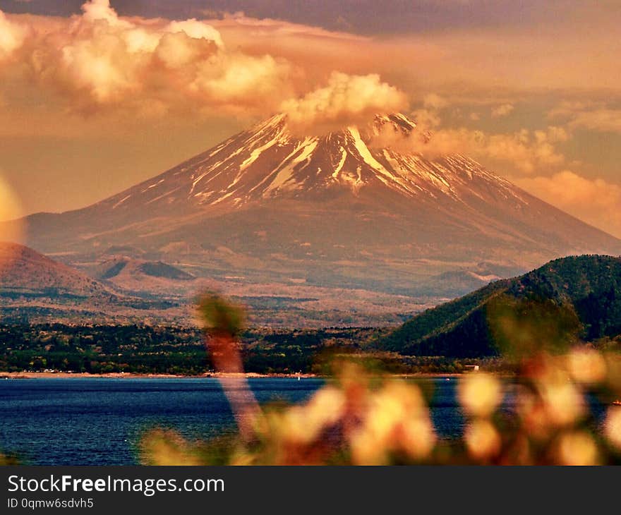 Mt. Fuji, famous japanese landmark with flowers