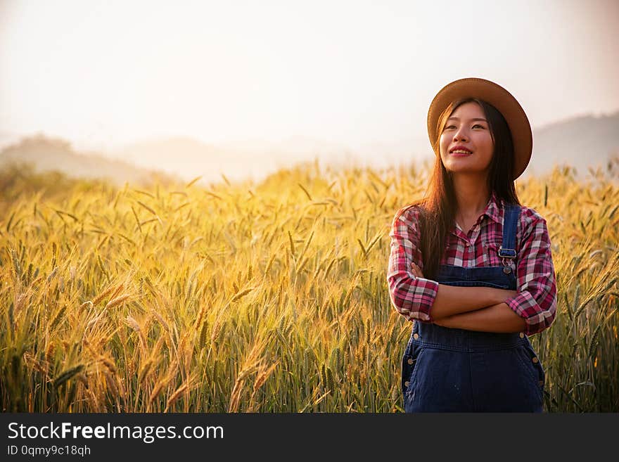 Farmer in ripe wheat field planning harvest activity