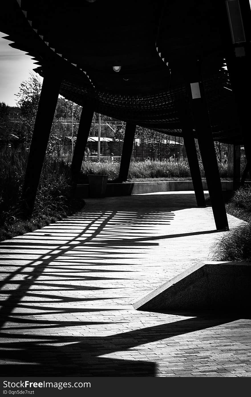 Industrial Black And White Landscape In The Park. New Residential Area In Place