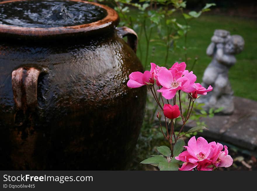 Olive oil jar used as water fountain in garden with roses in foreground and stone cherub in background