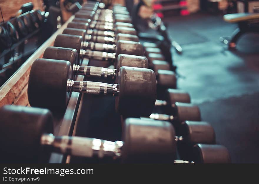 dumbbell rack close-up in the gym. dumbbell rack close-up in the gym