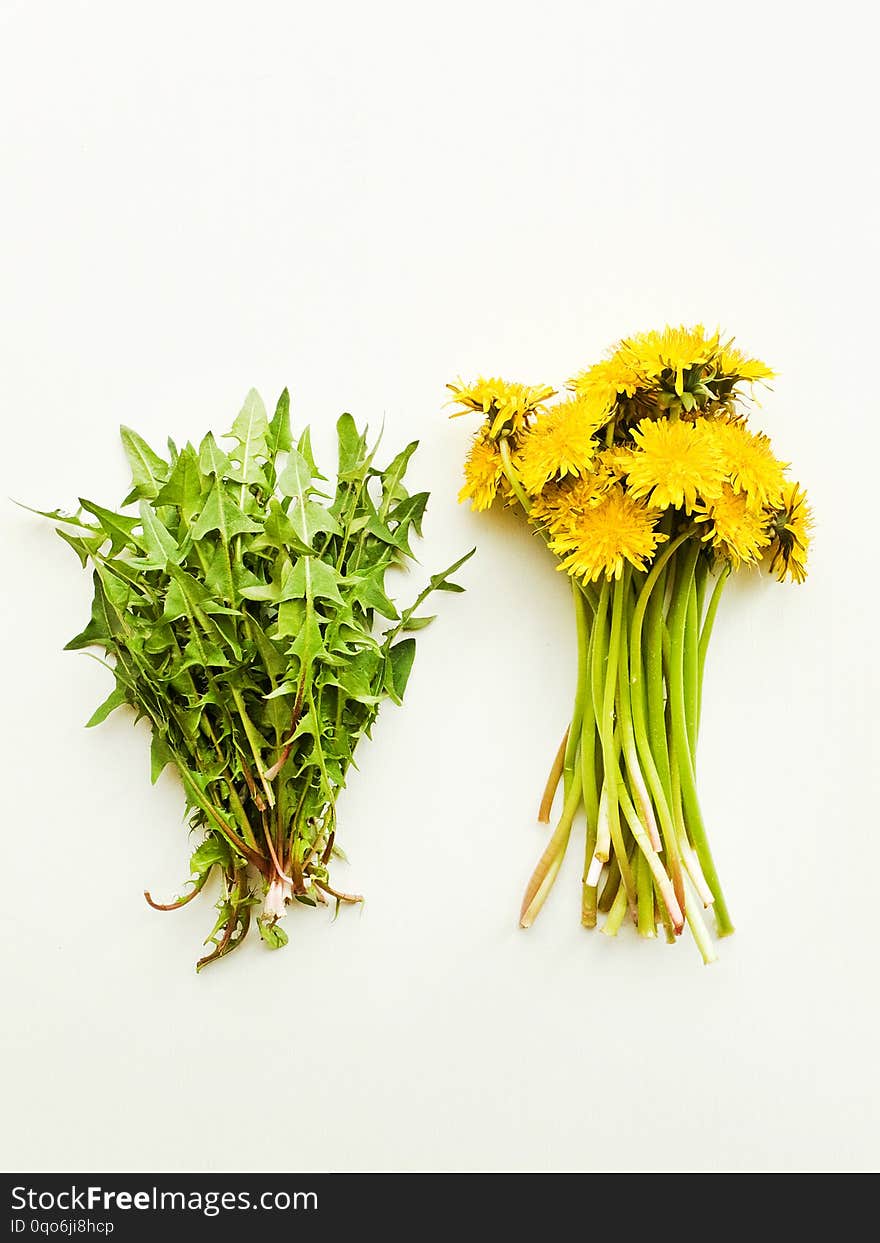 Dandelion fresh leaves with flowers on white wooden background. Shallow dof. Dandelion fresh leaves with flowers on white wooden background. Shallow dof