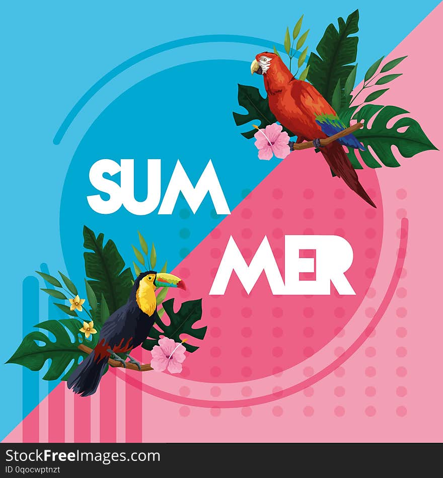 Hello Summer Poster Card