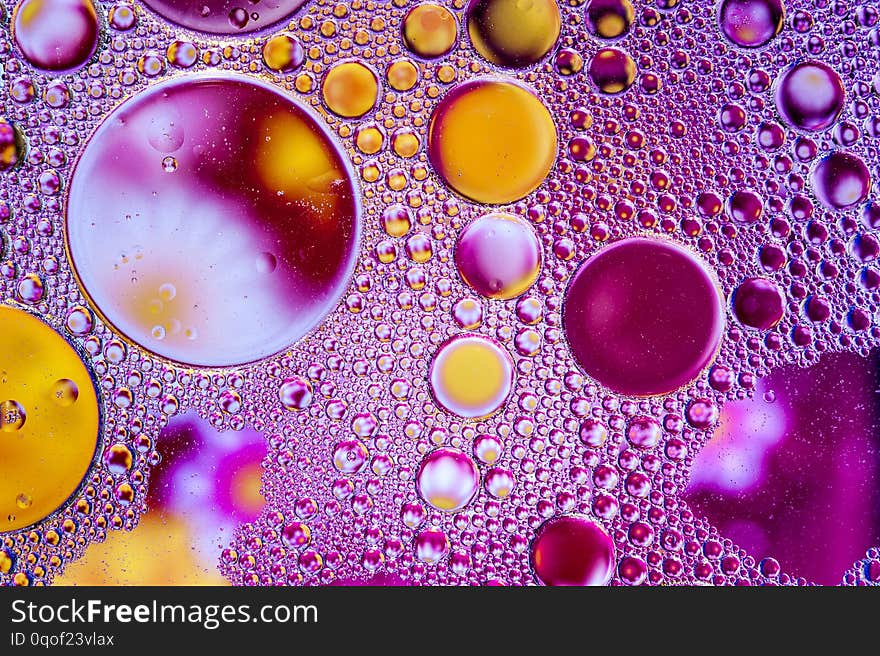 Colourful oil ink bubbles and drops. Abstract template mixed texture background. Wallpaper pattern.