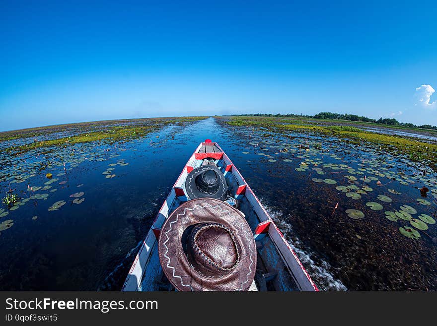 Cruising in the lake, heading straight forward, cruising in the pond with boiling water, afternoon sun, the sky is dark blue.