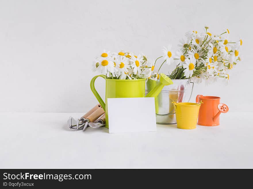 Home interior and garden concept with summer flowers in a metal bucket