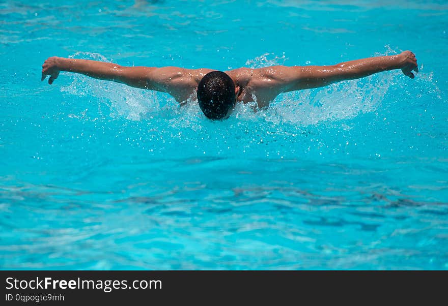 Athletes swimming on a swimming-pool