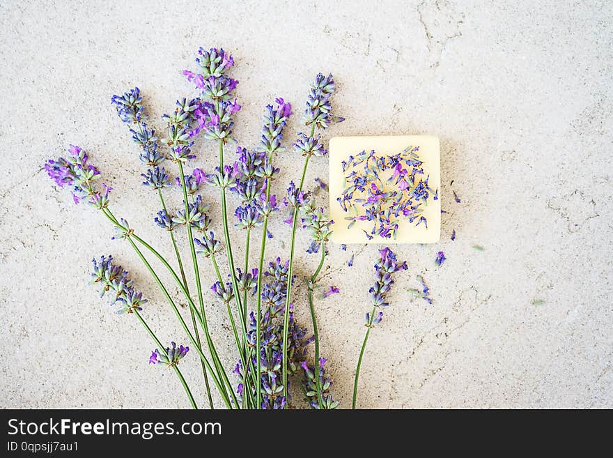 Lavender flowers and natural soap for bodycare on concrete background.