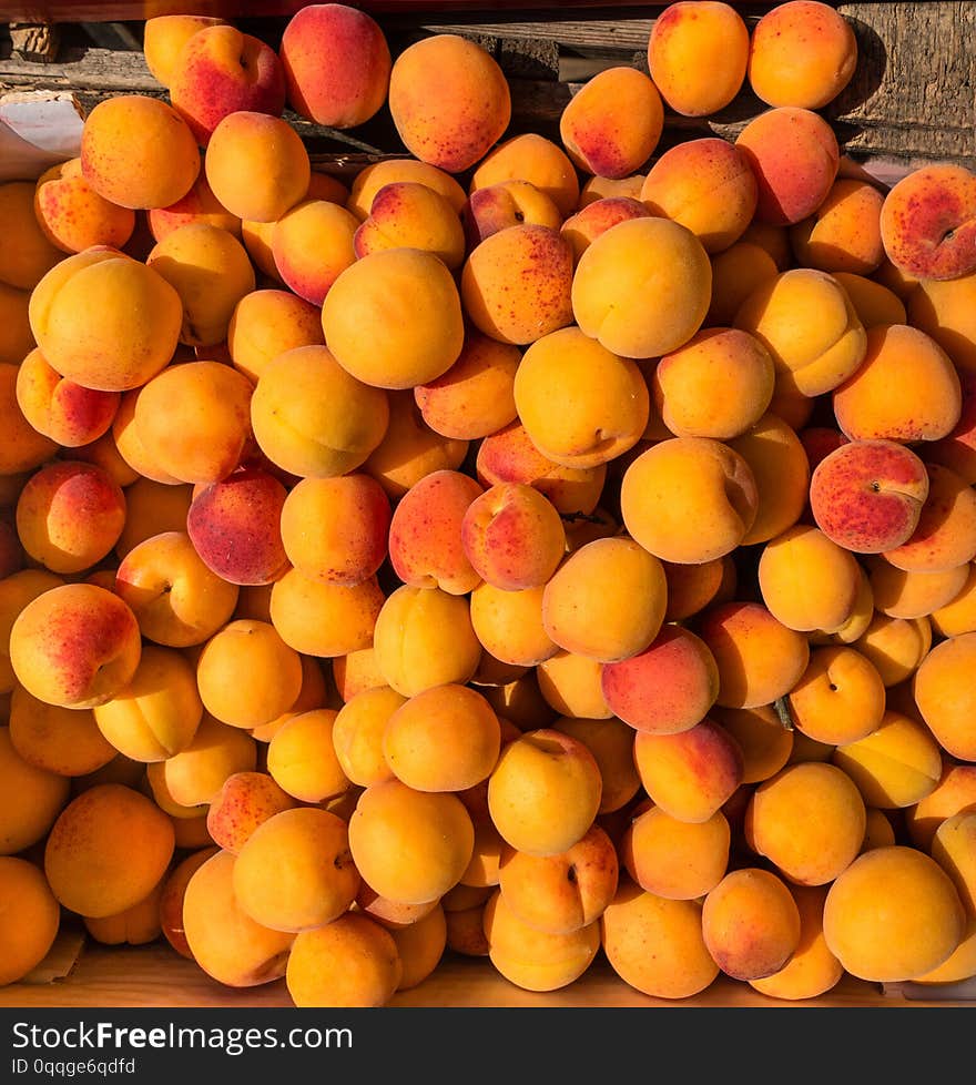 Colorful Yellow Ripe Apricots In Sunlight Top View. Delicious Healthy Summer Fruit.