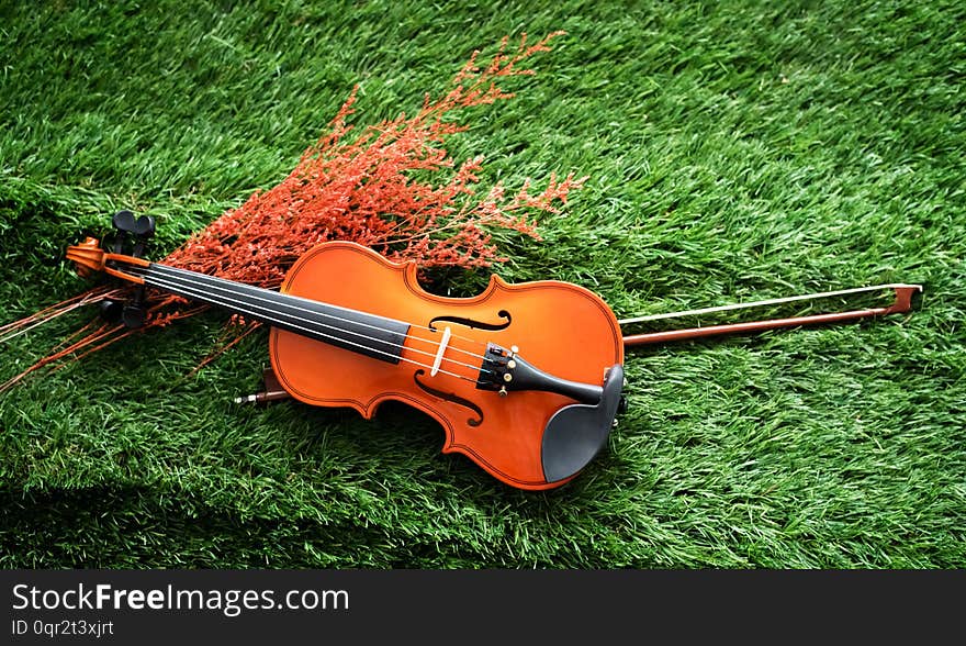 The wooden violin and bow put on green grass ground floor