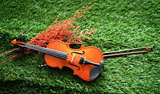 The Wooden Violin And Bow Stock Photo