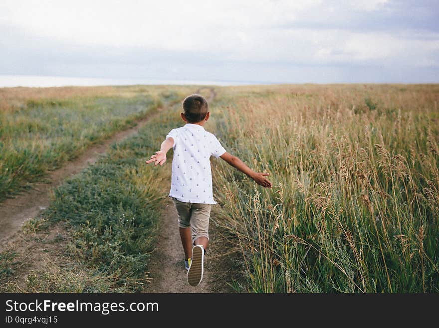 Little girl running cross the wheat field at sunset. Back view. Slow motion