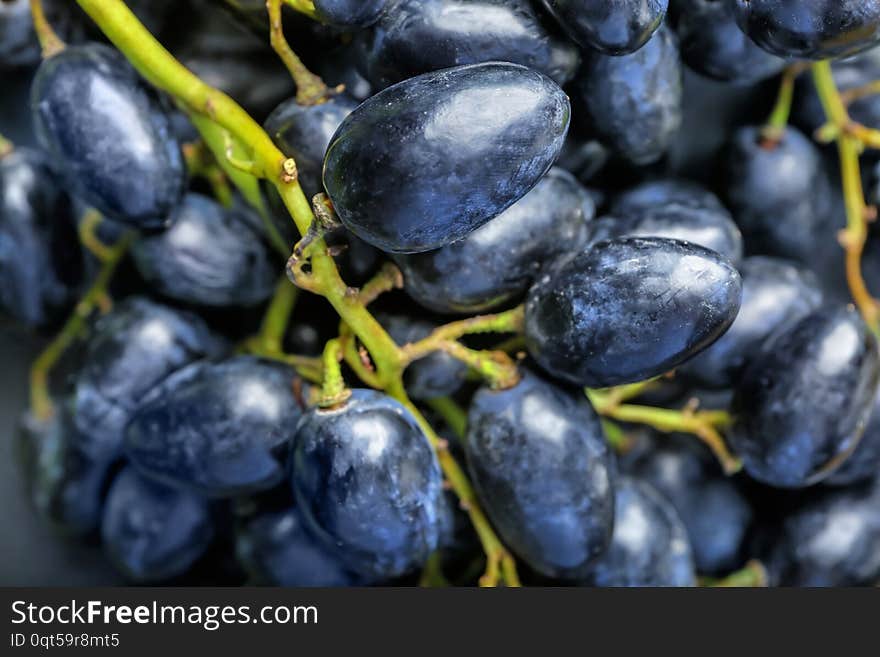 Ripe sweet grapes, closeup