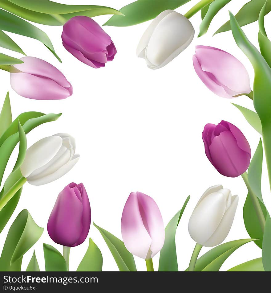 Card template with lilac and white tulips