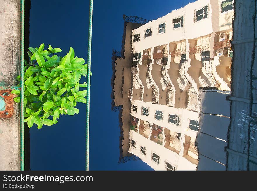 A green spot in urban city, high angle view of a little green tree over blue canal