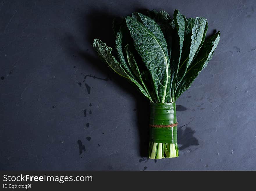 Bunch of fresh Italian kale on dark background. Bunch of fresh Italian kale on dark background