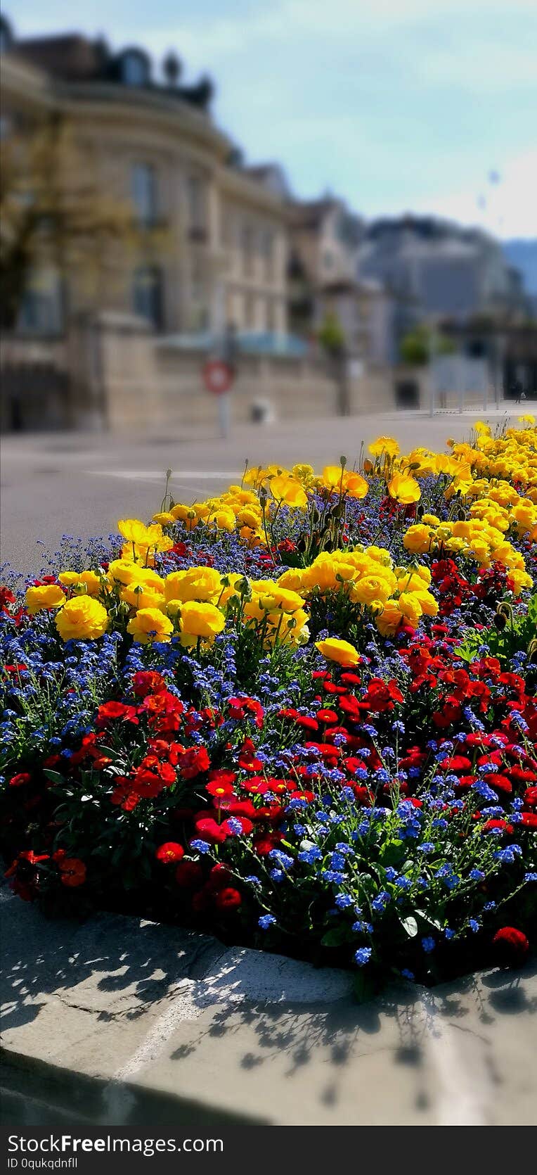 Coloured flowers disposal with Alimetarium in a nice bokeh  as background