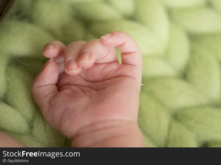 Baby hand in newborn photography, little hand of a newborn baby. Baby hand in newborn photography, little hand of a newborn baby