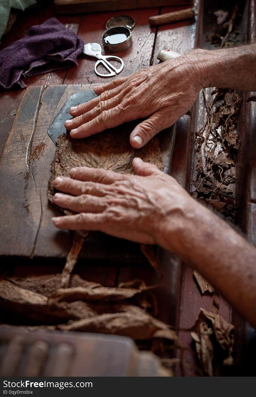 Cigar rolling or making by torcedor in cuba