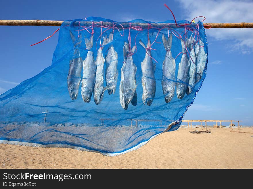 Fourfinger threadfin dried fish, Thailand