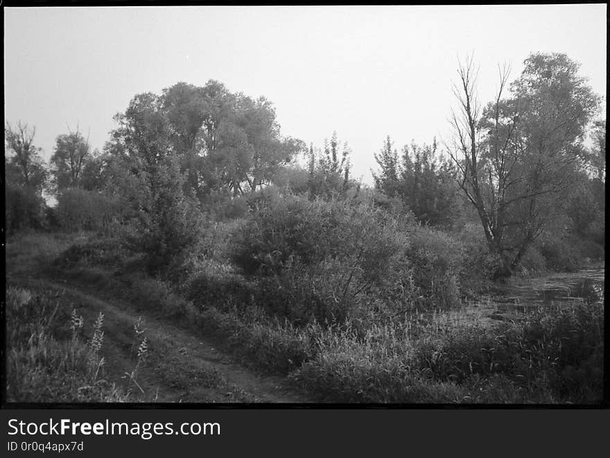 Misty sunrise near Michale. Pomerania, Poland. June, 2018. One of things I was looking for gear-wise, was a reliably working, compact film camera with a good enough lens. Point and shoot, autofocus, auto-everything, trouble-free tool for these moments where I&#x27;m basically braindead or in a hurry. Well, this old Pentax is one I&#x27;ve tried lastly. Seeing samples side by side, typical 50mm f/1.8 lens in similar circumstances wasn&#x27;t performing much better, so this one is a keeper. Misty sunrise near Michale. Pomerania, Poland. June, 2018. One of things I was looking for gear-wise, was a reliably working, compact film camera with a good enough lens. Point and shoot, autofocus, auto-everything, trouble-free tool for these moments where I&#x27;m basically braindead or in a hurry. Well, this old Pentax is one I&#x27;ve tried lastly. Seeing samples side by side, typical 50mm f/1.8 lens in similar circumstances wasn&#x27;t performing much better, so this one is a keeper.