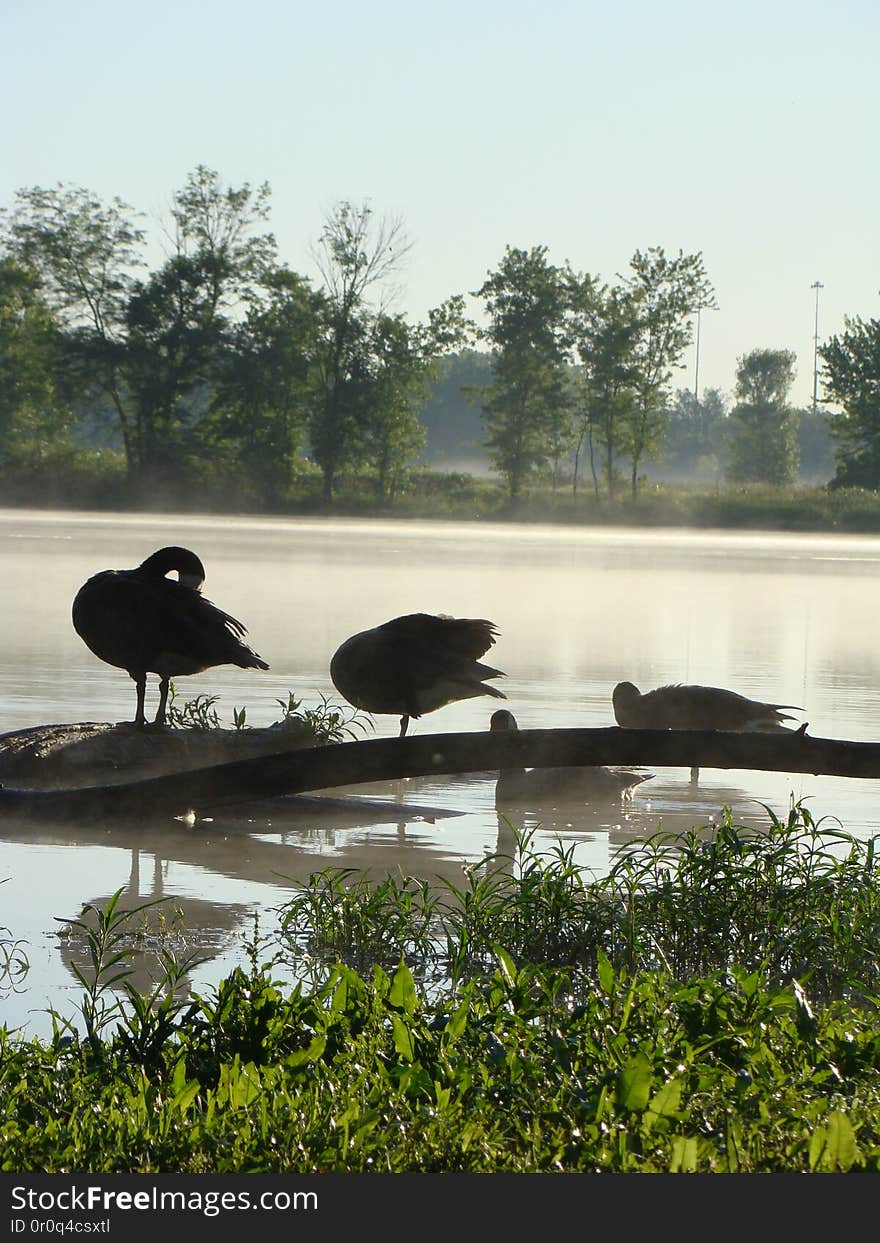 Heron Pond Area Columbus, Ohio. Heron Pond Area Columbus, Ohio