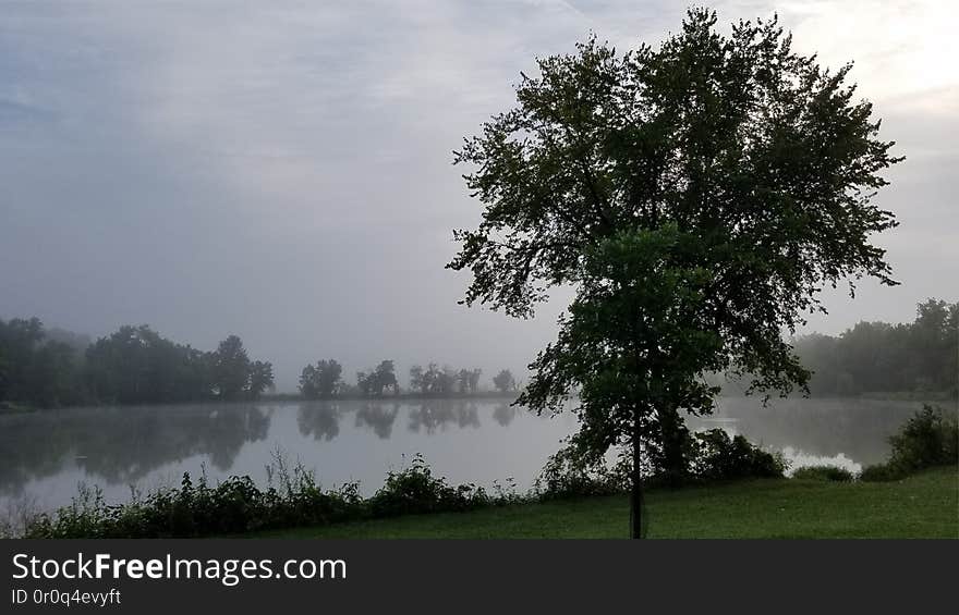 Heron Pond Columbus, Ohio. Heron Pond Columbus, Ohio