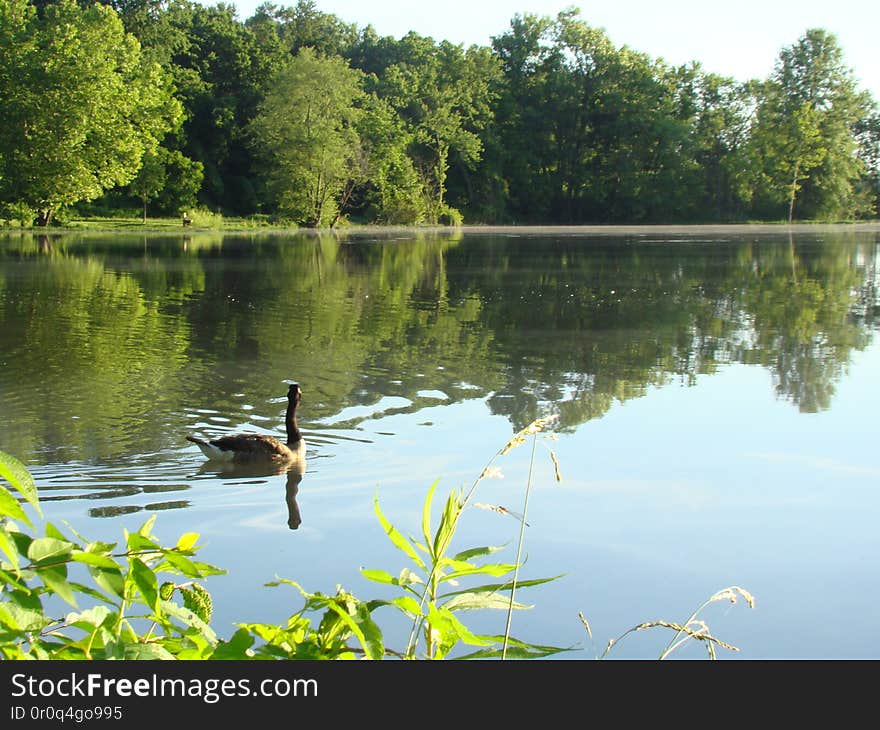 Heron Pond Area Columbus, Ohio. Heron Pond Area Columbus, Ohio