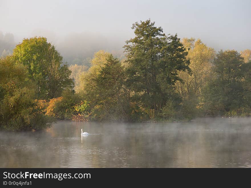 misty morning at the riverside