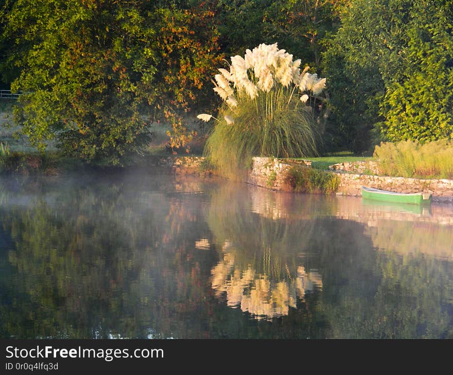 France. France