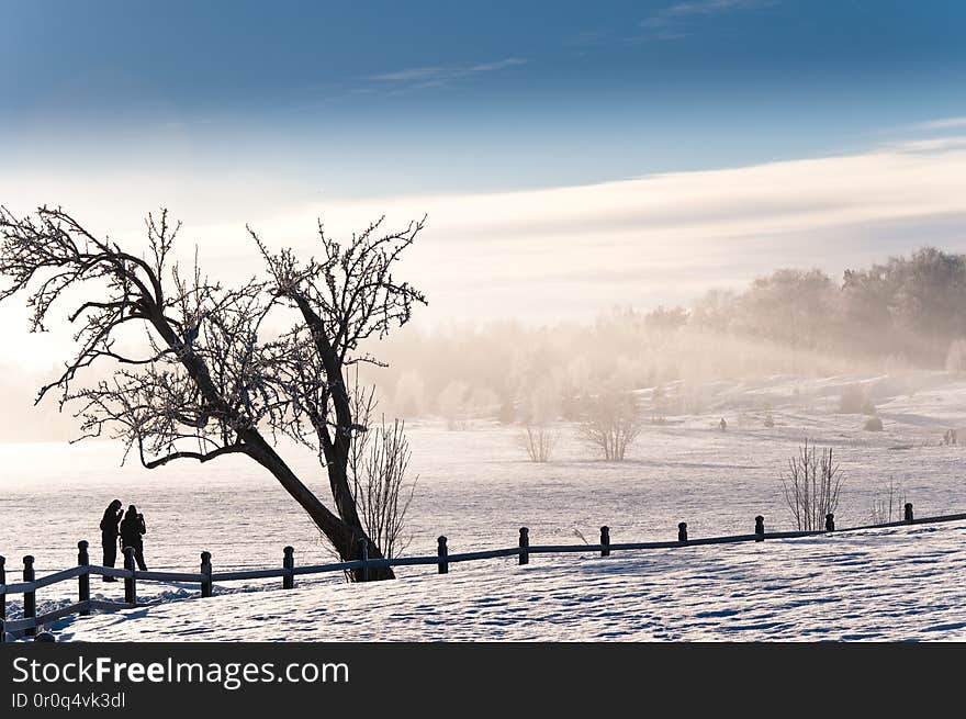 Cold winter morning in old Uppsala