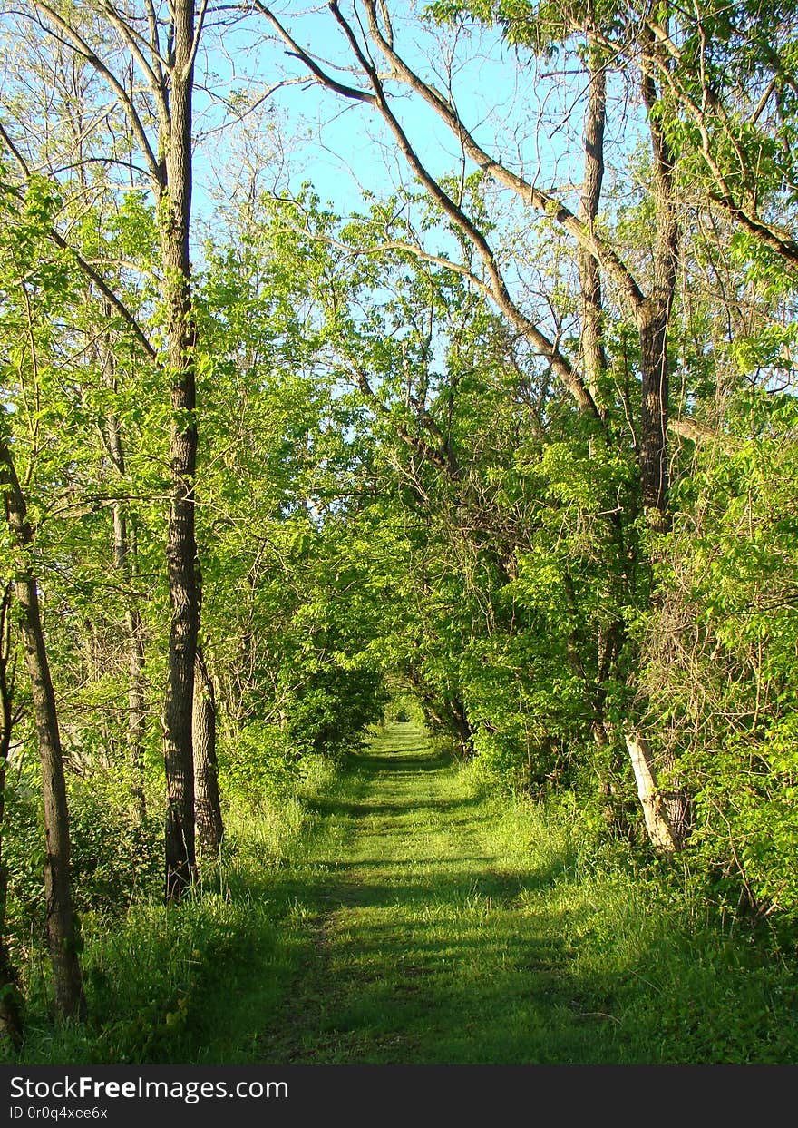 Logan, Ohio. Logan, Ohio