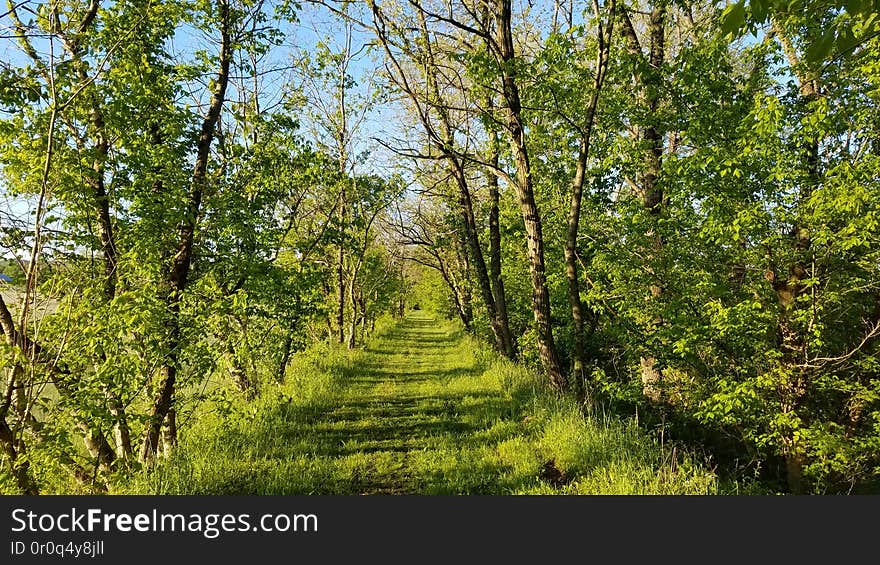 Logan, Ohio. Logan, Ohio