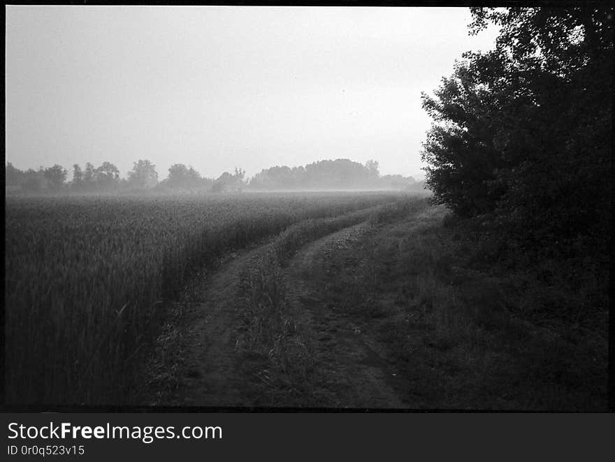 Misty sunrise near Michale. Pomerania, Poland. June, 2018. One of things I was looking for gear-wise, was a reliably working, compact film camera with a good enough lens. Point and shoot, autofocus, auto-everything, trouble-free tool for these moments where I&#x27;m basically braindead or in a hurry. Well, this old Pentax is one I&#x27;ve tried lastly. Seeing samples side by side, typical 50mm f/1.8 lens in similar circumstances wasn&#x27;t performing much better, so this one is a keeper. Misty sunrise near Michale. Pomerania, Poland. June, 2018. One of things I was looking for gear-wise, was a reliably working, compact film camera with a good enough lens. Point and shoot, autofocus, auto-everything, trouble-free tool for these moments where I&#x27;m basically braindead or in a hurry. Well, this old Pentax is one I&#x27;ve tried lastly. Seeing samples side by side, typical 50mm f/1.8 lens in similar circumstances wasn&#x27;t performing much better, so this one is a keeper.