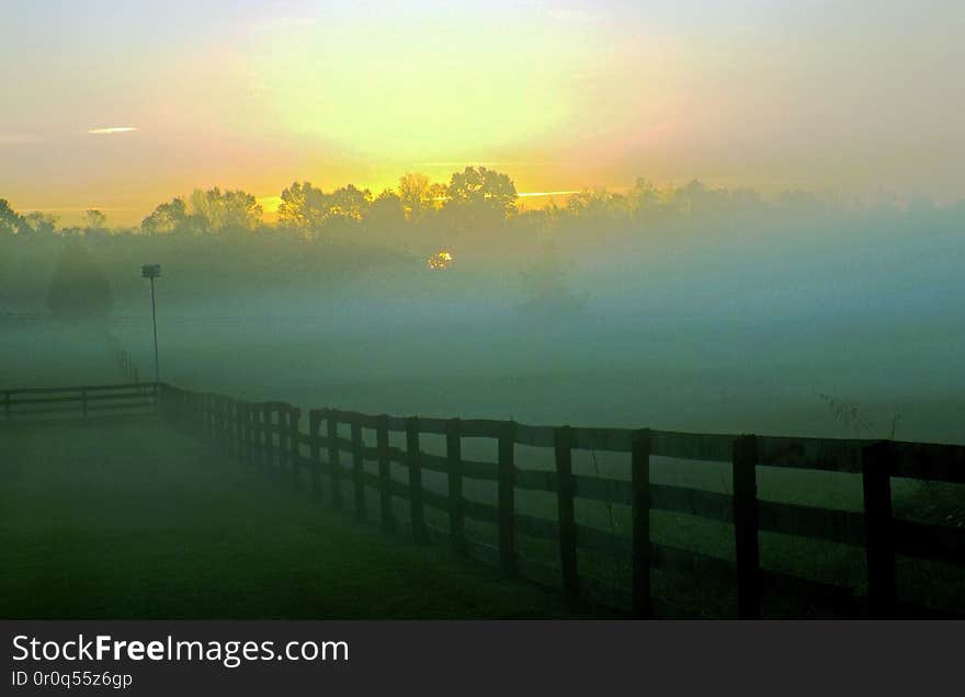 Morning Pasture