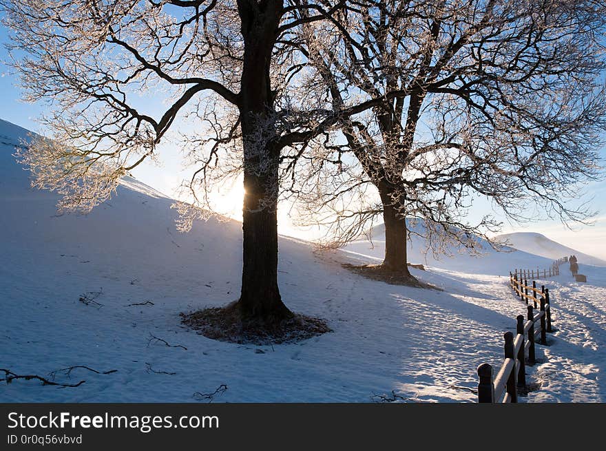 Cold winter morning. Cold winter morning.