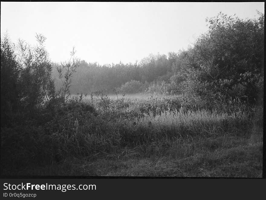 Misty sunrise near Michale. Pomerania, Poland. June, 2018. One of things I was looking for gear-wise, was a reliably working, compact film camera with a good enough lens. Point and shoot, autofocus, auto-everything, trouble-free tool for these moments where I&#x27;m basically braindead or in a hurry. Well, this old Pentax is one I&#x27;ve tried lastly. Seeing samples side by side, typical 50mm f/1.8 lens in similar circumstances wasn&#x27;t performing much better, so this one is a keeper. Misty sunrise near Michale. Pomerania, Poland. June, 2018. One of things I was looking for gear-wise, was a reliably working, compact film camera with a good enough lens. Point and shoot, autofocus, auto-everything, trouble-free tool for these moments where I&#x27;m basically braindead or in a hurry. Well, this old Pentax is one I&#x27;ve tried lastly. Seeing samples side by side, typical 50mm f/1.8 lens in similar circumstances wasn&#x27;t performing much better, so this one is a keeper.