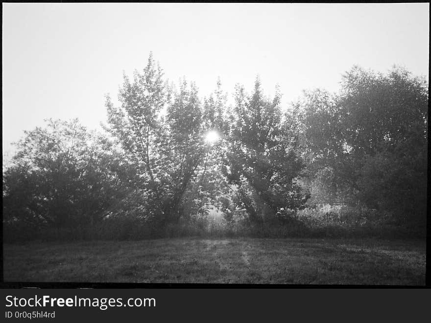 Misty sunrise near Michale. Pomerania, Poland. June, 2018. One of things I was looking for gear-wise, was a reliably working, compact film camera with a good enough lens. Point and shoot, autofocus, auto-everything, trouble-free tool for these moments where I&#x27;m basically braindead or in a hurry. Well, this old Pentax is one I&#x27;ve tried lastly. Seeing samples side by side, typical 50mm f/1.8 lens in similar circumstances wasn&#x27;t performing much better, so this one is a keeper. Misty sunrise near Michale. Pomerania, Poland. June, 2018. One of things I was looking for gear-wise, was a reliably working, compact film camera with a good enough lens. Point and shoot, autofocus, auto-everything, trouble-free tool for these moments where I&#x27;m basically braindead or in a hurry. Well, this old Pentax is one I&#x27;ve tried lastly. Seeing samples side by side, typical 50mm f/1.8 lens in similar circumstances wasn&#x27;t performing much better, so this one is a keeper.